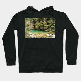 Fast river near forest in Bucegi mountains, Romania Hoodie